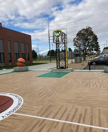 Wayne State, Faux Basketball Court
Site
Sundek Products USA, Inc.
Arlington, TX
