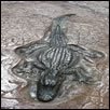 Fossil Crete Alligator
Site
ConcreteNetwork.com
