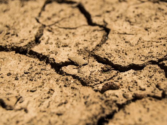 Dry Cracked Houston Soil