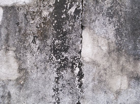 How To Remove Mold From Concrete Cleaning Tips Network - Mildew On Walls In Basement