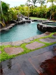 Tropical Decorative Concrete
RockMolds.com
Makawao, Maui, HI 