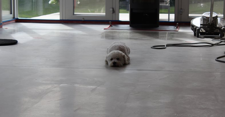 Residential Polished Flooring, Dog
Concrete Sinks
Dancer Concrete Design
Fort Wayne, IN