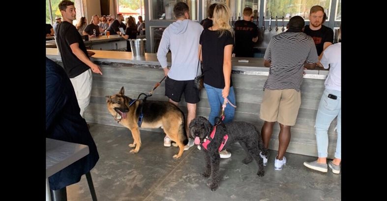 Restaurant, Dogs, Floors
Concrete Floors
COUNTERintelligence of Altanta
Atlanta, GA